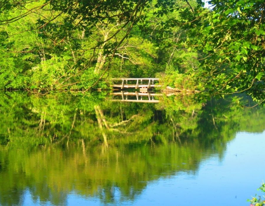 save camp canonicus-033